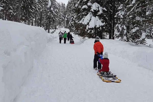 Family Sledding